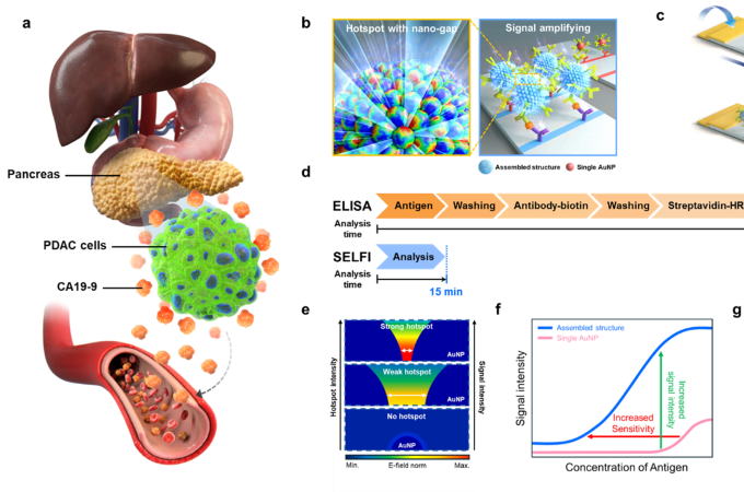 건국대 연구팀, 췌장암  15분 신속 진단  신기술 개발 대표이미지